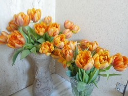160218_1313-01.jpg